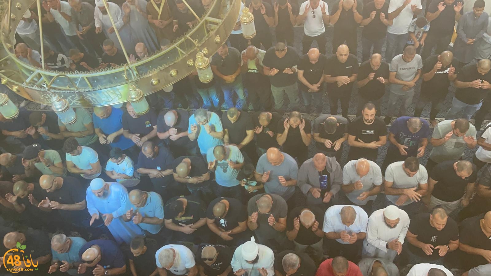 WhatsApp Image 2023-10-12 at 12.00.17 PM (2).jpeg